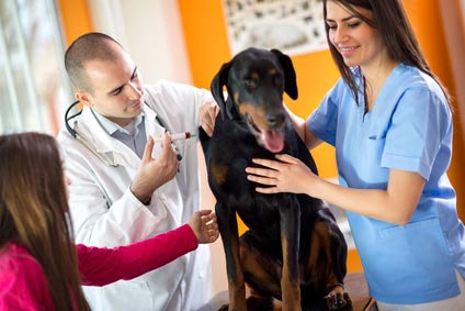Le cure veterinarie