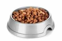 Consiglio per cane con intolleranza alimentare