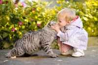 La convivenza fra gatti e bambini, consigli e suggerimenti