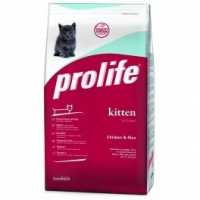 Il Prolife Kitten disponibile con sconto del 20%