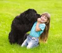 Le migliori razze di cani adatte a convivere con i bambini