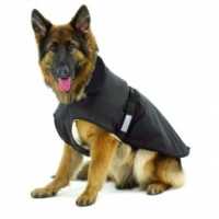 Abbigliamento per cani, consigli e suggerimenti. L’abbigliamento di Pet Shop Store