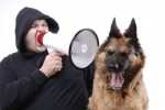 L’addestramento del cane, quali prodotti consigliamo