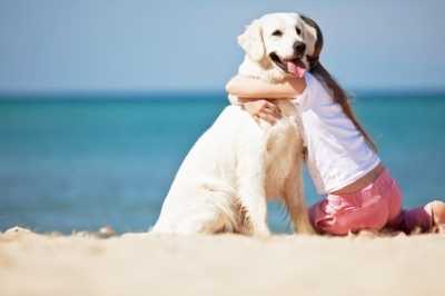 Vacanze con il cane, come gestirlo al mare