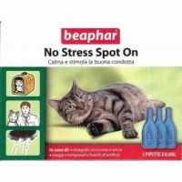 No Stress Spot On Gatto