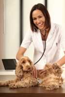 Parassiti intestinali del cane, la Tenia cosa è e come curarla