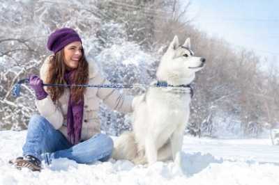 Le razze di cani più adatte alla compagnia