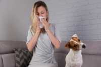 Allergia al pelo del cane: cani anallergici, sintomi e rimedi per l'allergia ai cani