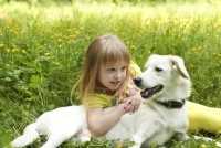 Cane con linfonodi gonfi, cosa può essere?