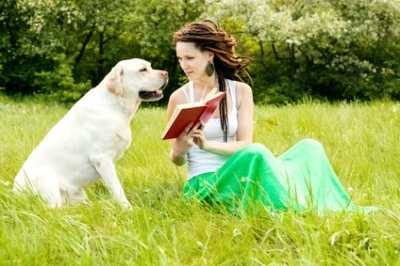 Come leggere l’etichetta delle crocchette per cani