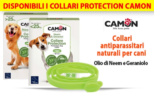 Crocchette ed antiparassitari per cani e gatti