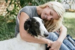 Crocchette o cibo umido per cani: cosa scegliere?