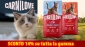 Crocchette per cani e gatti Alleva e Carnilove scontate, pomata Arnica per Umani