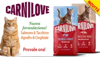 Gatti e cani i migliori alimenti