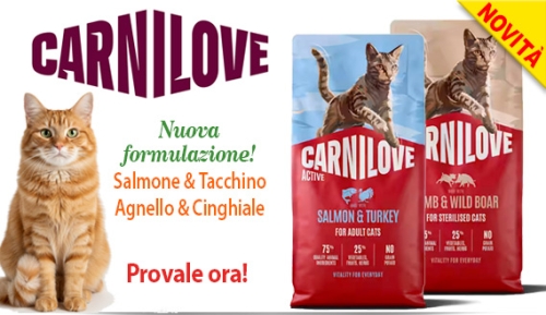Gatti e cani i migliori alimenti