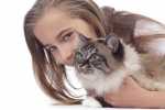 Gatto con insufficienza renale, cosa fare? Quale alimentazione? Esempio pratico