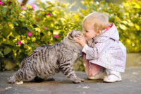 Gatto sì, ma felice: 7 consigli per un amico felino in perfetta forma