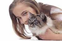 Il nostro prosciutto come alimento per il gatto, è corretto?
