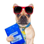 Il passaporto europeo per cani e gatti. Guida alla richiesta