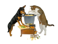 Integratori e snack per cani e gatti