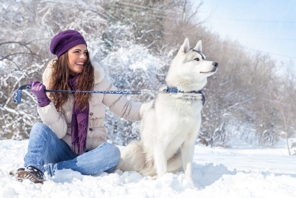 Le crocchette Golden Eagle per cani, caratteristiche nutrizionali