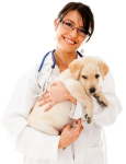 Le principali patologie del cane ed i relativi alimenti indicati. La linea dietetica Prolife 