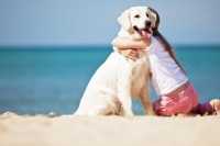 L'insufficienza renale del cane, esempio pratico