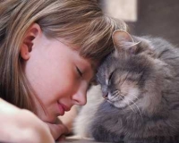 Marpet le crocchette per la dieta completa e bilanciata del Gatto