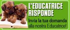Nuovo servizio gratuito sull'educazione del cane - Scrivi alla nostra Educatrice