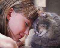 Perchè i gatti soprattutto anziani miagolano forte? Esempio pratico