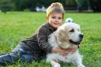 Prendere un cucciolo trovatello, rischi e pericoli