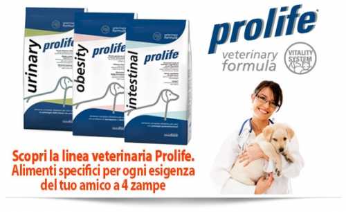 Scopri la linea veterinaria Prolife Vet